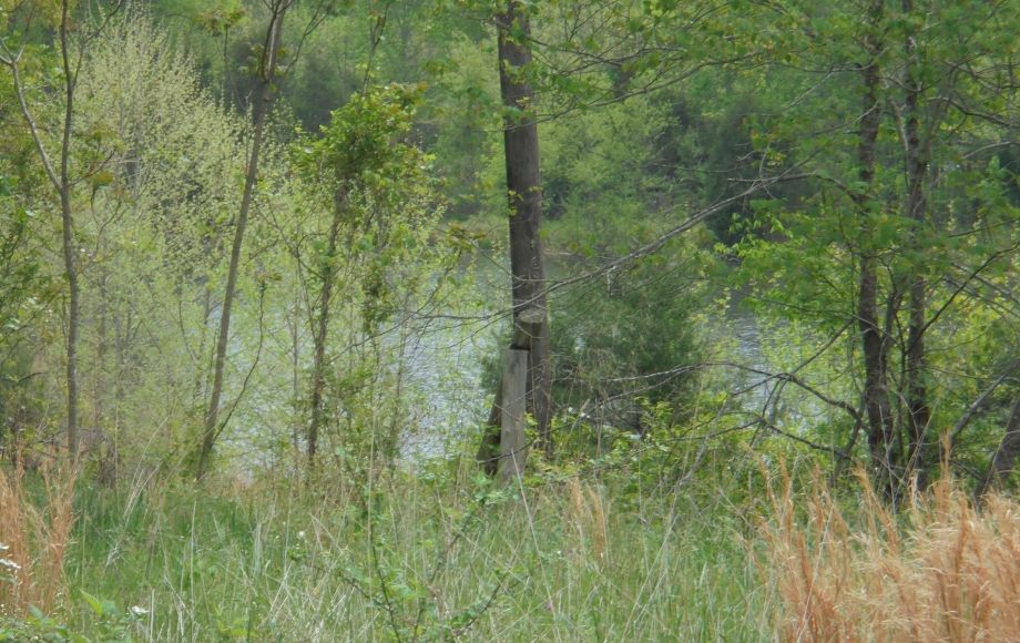 Image for SOLD~25.87 AC Vacant Land Auction (Forest Oaks Area) AUCTION-JUNE 3rd 10:00AM