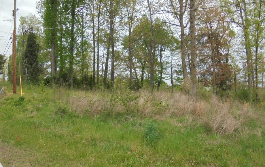 Image for SOLD~25.87 AC Vacant Land Auction (Forest Oaks Area) AUCTION-JUNE 3rd 10:00AM