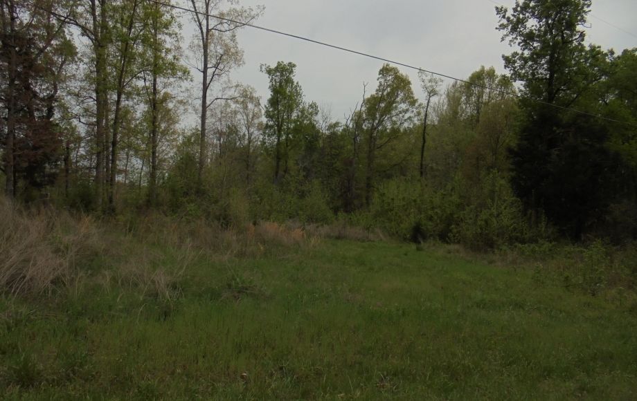 Image for SOLD~25.87 AC Vacant Land Auction (Forest Oaks Area) AUCTION-JUNE 3rd 10:00AM