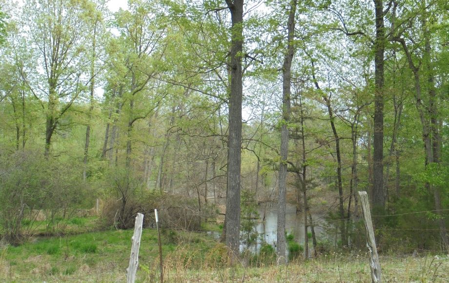 Image for SOLD~25.87 AC Vacant Land Auction (Forest Oaks Area) AUCTION-JUNE 3rd 10:00AM