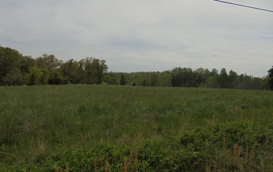 Image for SOLD~25.87 AC Vacant Land Auction (Forest Oaks Area) AUCTION-JUNE 3rd 10:00AM