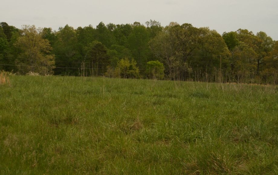 Image for SOLD~25.87 AC Vacant Land Auction (Forest Oaks Area) AUCTION-JUNE 3rd 10:00AM