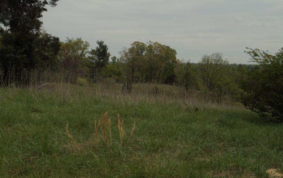 Image for SOLD~25.87 AC Vacant Land Auction (Forest Oaks Area) AUCTION-JUNE 3rd 10:00AM