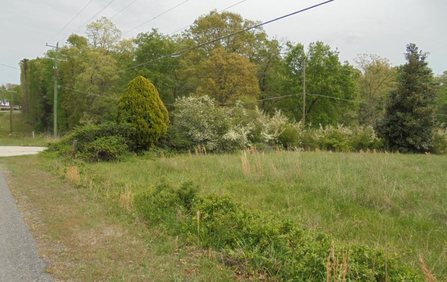 Image for SOLD~25.87 AC Vacant Land Auction (Forest Oaks Area) AUCTION-JUNE 3rd 10:00AM
