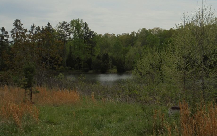 Image for SOLD~25.87 AC Vacant Land Auction (Forest Oaks Area) AUCTION-JUNE 3rd 10:00AM