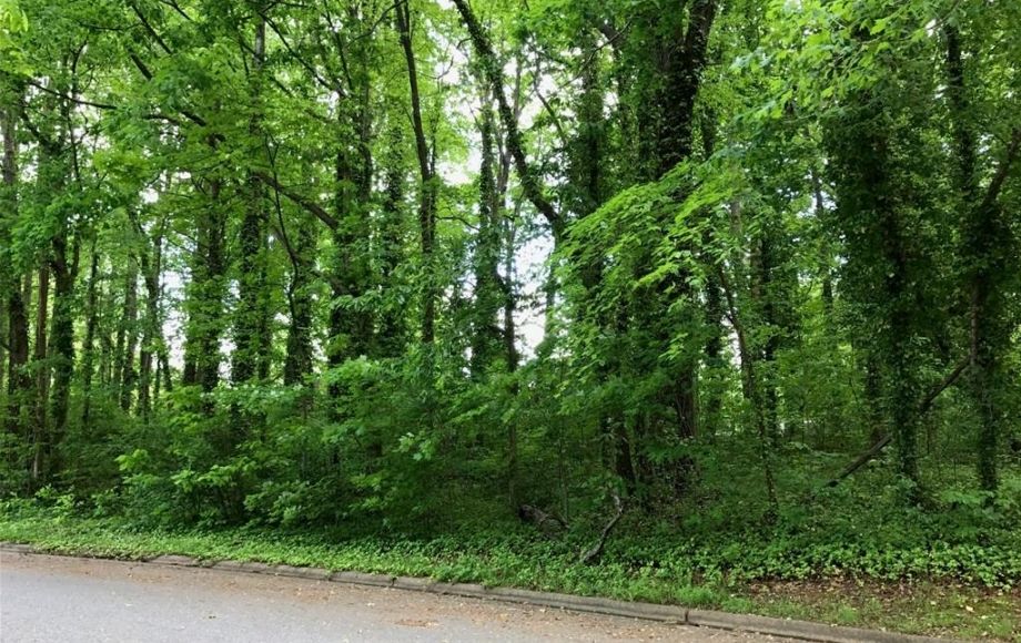 Image for SOLD~VACANT LAND AUCTION 0.45AC