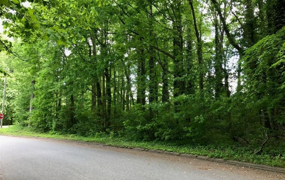 Image for SOLD~VACANT LAND AUCTION 0.45AC