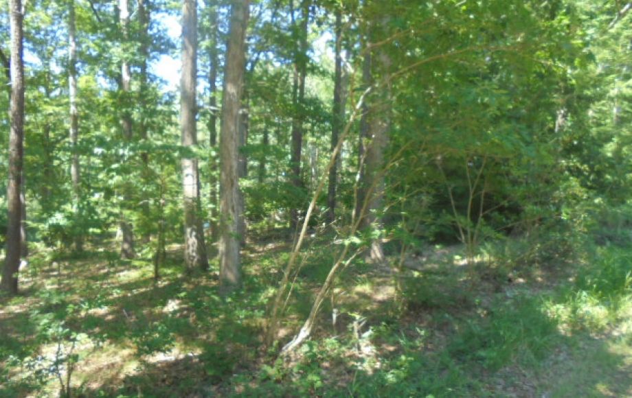 Image for SOLD~REAL ESTATE AUCTION (2 Story House 4/BR 2.5/BA on 5 AC)
