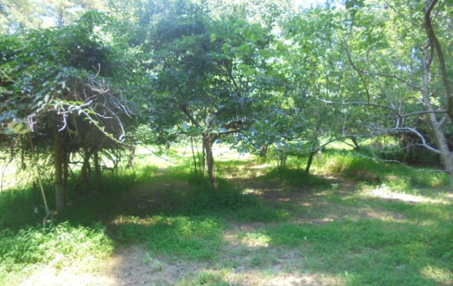 Image for SOLD~REAL ESTATE AUCTION (2 Story House 4/BR 2.5/BA on 5 AC)