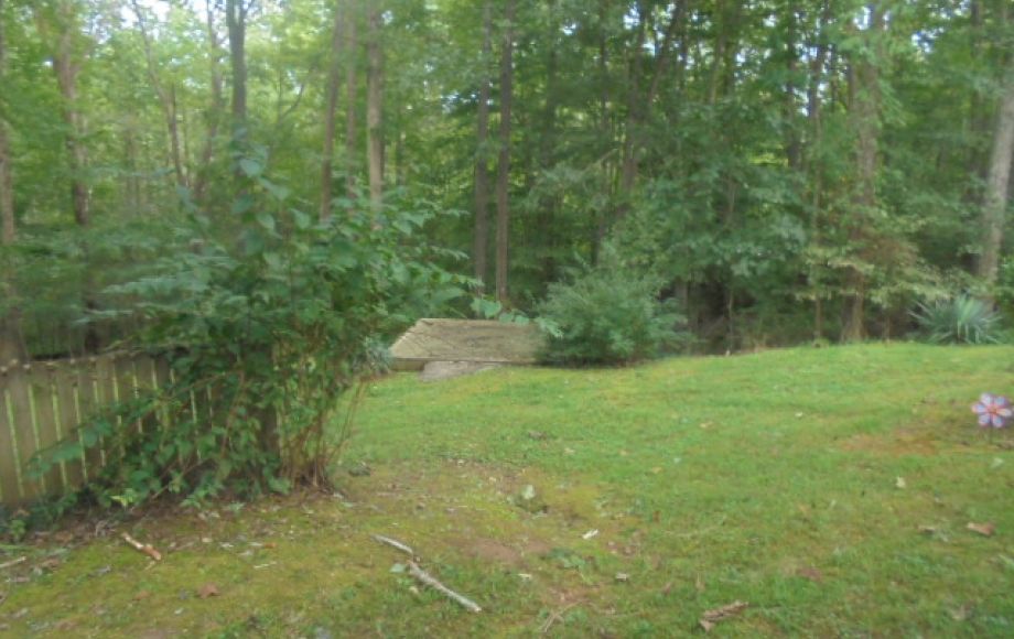 Image for SOLD~REAL ESTATE FOR SALE “LOG CABIN”~RANDLEMAN 1.10AC 3/BR, 2/BA