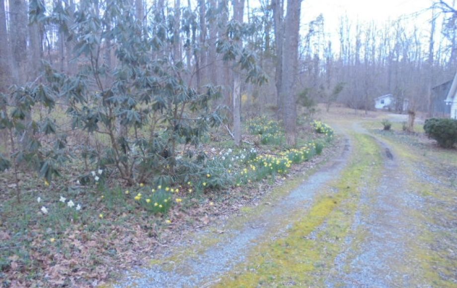 Image for SOLD~BRICK RANCH w/5.16 AC,
