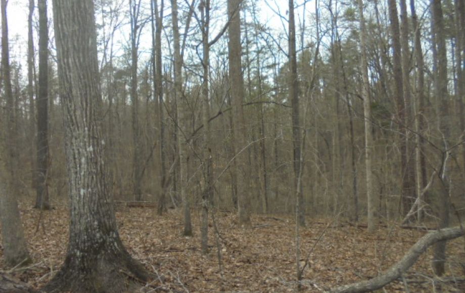 Image for SOLD~BRICK RANCH w/5.16 AC,