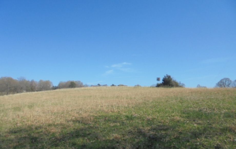 Image for SOLD~ 30+ ACRES~RANDLEMAN LAKE