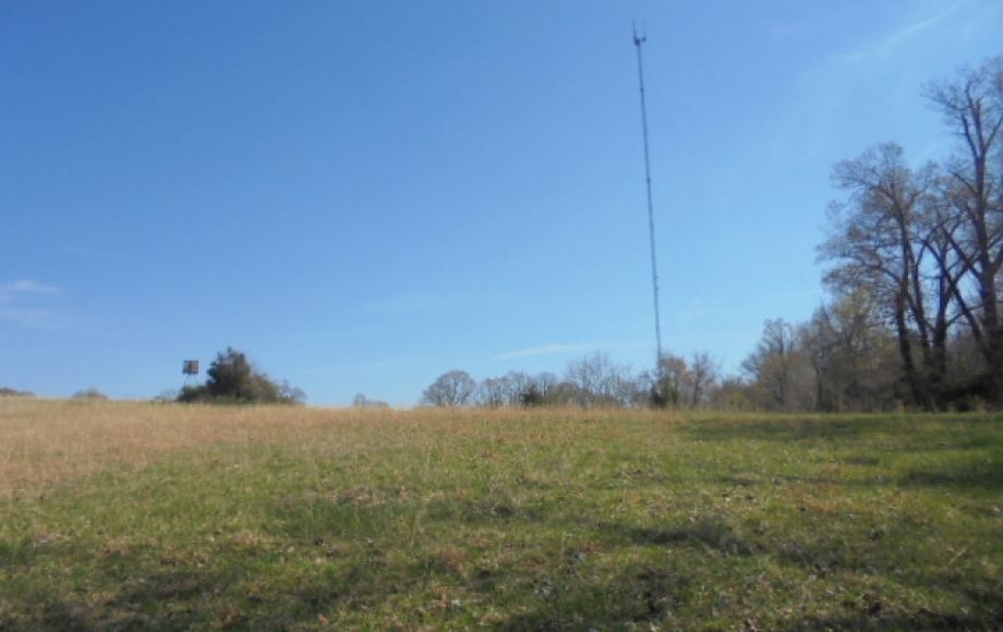 Image for SOLD~ 30+ ACRES~RANDLEMAN LAKE