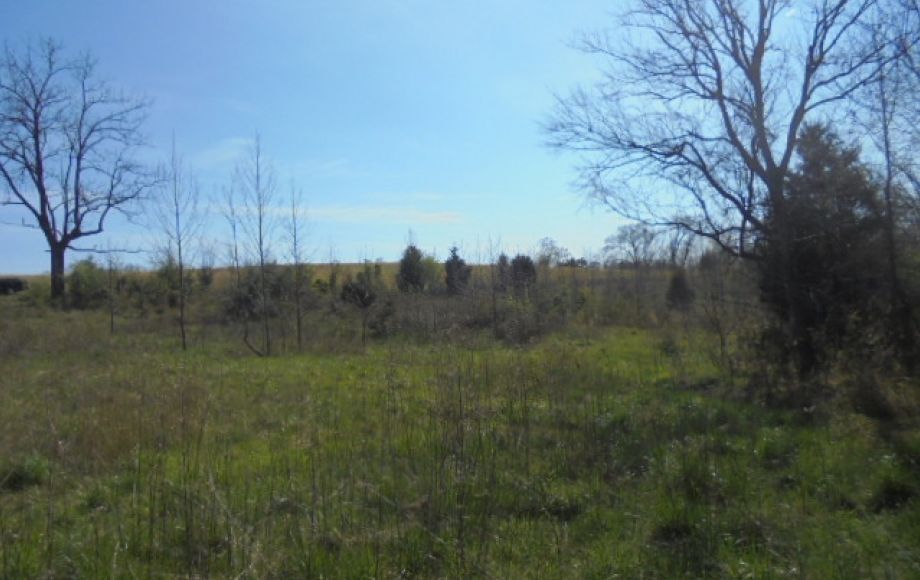 Image for SOLD~ 30+ ACRES~RANDLEMAN LAKE