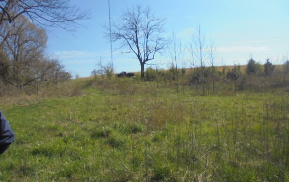 Image for SOLD~ 30+ ACRES~RANDLEMAN LAKE