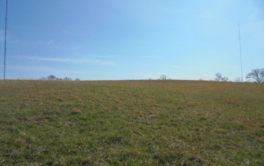 Image for SOLD~ 30+ ACRES~RANDLEMAN LAKE