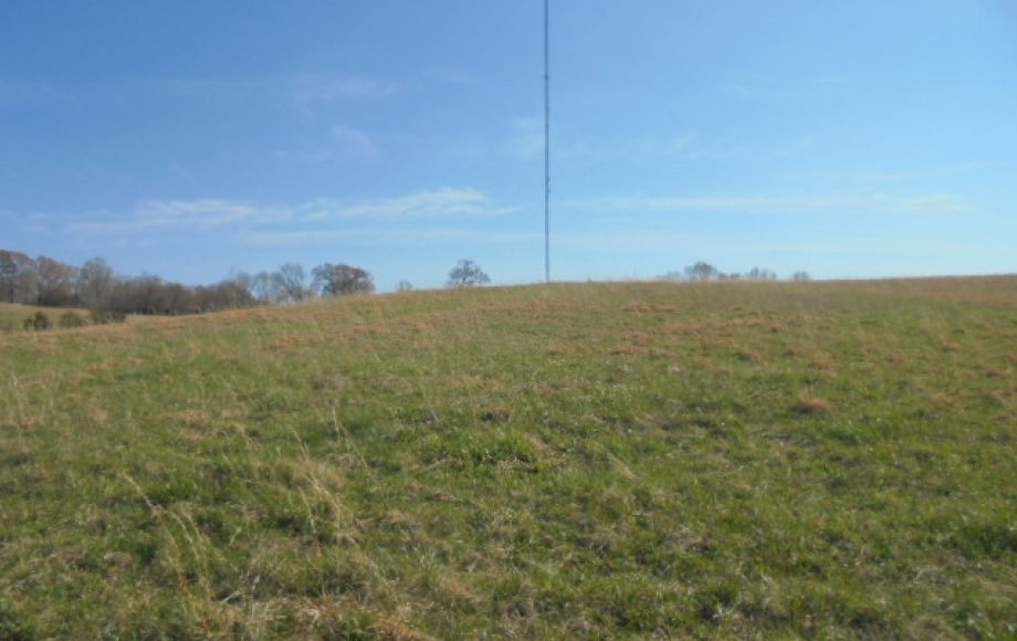Image for SOLD~ 30+ ACRES~RANDLEMAN LAKE