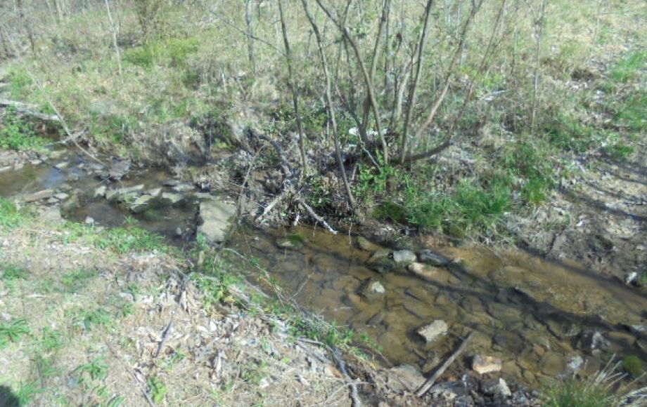 Image for SOLD~ 30+ ACRES~RANDLEMAN LAKE