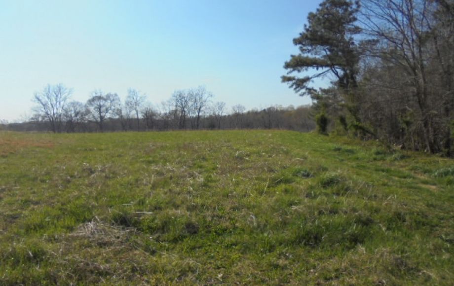 Image for SOLD~ 30+ ACRES~RANDLEMAN LAKE
