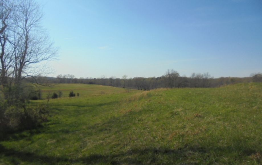 Image for SOLD~ 30+ ACRES~RANDLEMAN LAKE