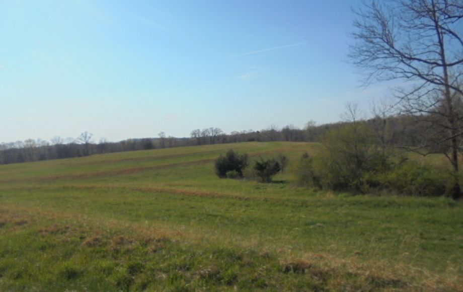 Image for SOLD~ 30+ ACRES~RANDLEMAN LAKE