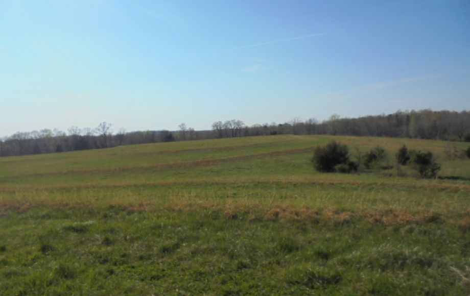 Image for SOLD~ 30+ ACRES~RANDLEMAN LAKE