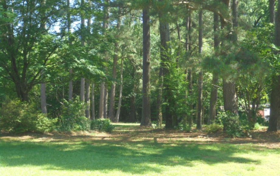 Image for SOLD~42.5 AC w/2 HOUSES (Nice Brick Ranch & Early 1900’s Home)~DENTON