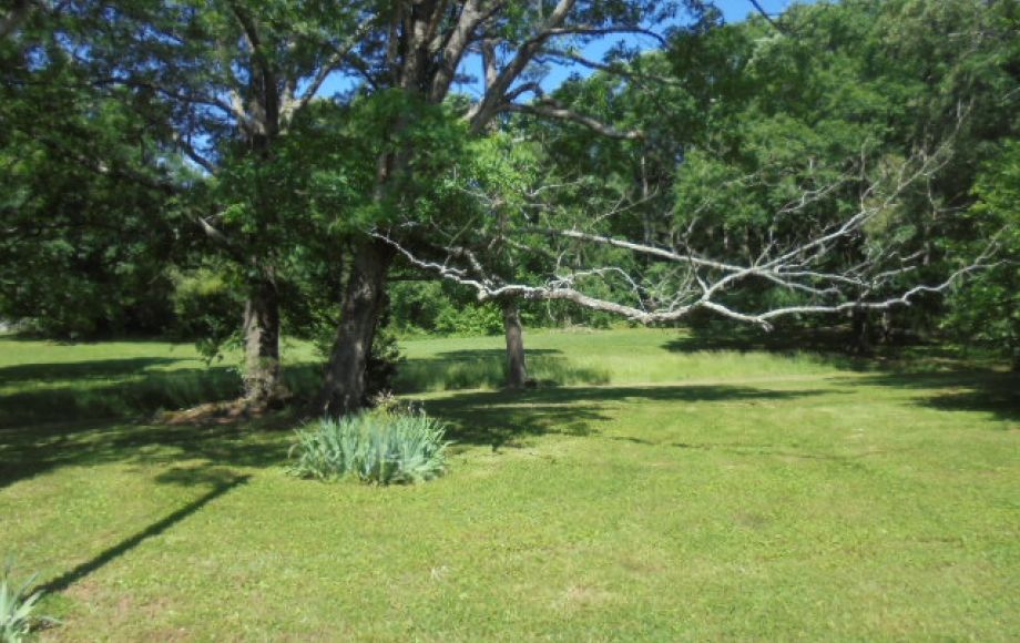 Image for SOLD~42.5 AC w/2 HOUSES (Nice Brick Ranch & Early 1900’s Home)~DENTON