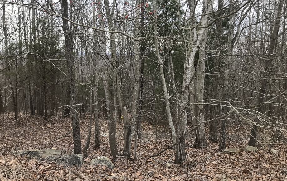 Image for SOLD-10.15 AC Tract on Needham’s Mountain~Seagrove