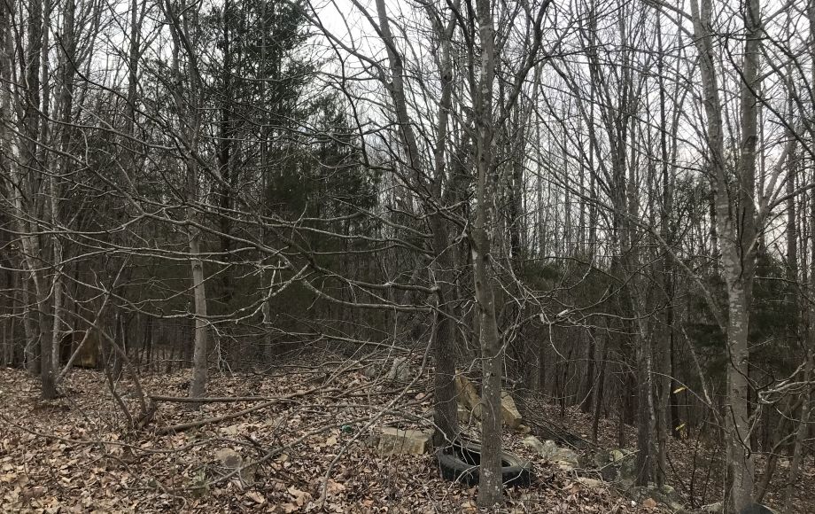 Image for SOLD-10.15 AC Tract on Needham’s Mountain~Seagrove