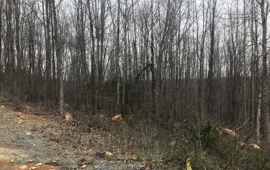 Image for SOLD-10.15 AC Tract on Needham’s Mountain~Seagrove