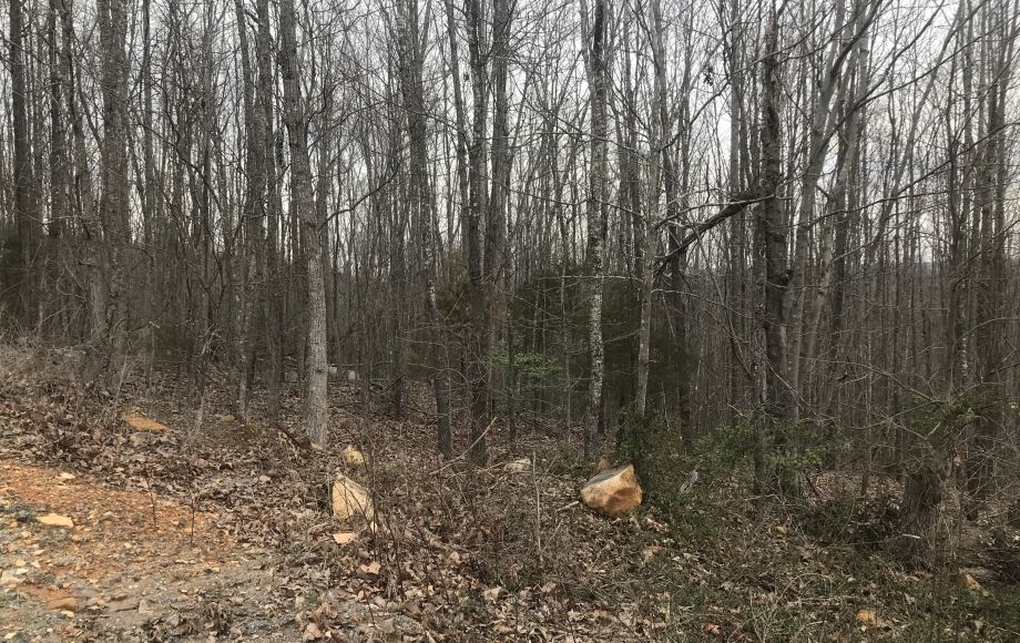 Image for SOLD-10.15 AC Tract on Needham’s Mountain~Seagrove
