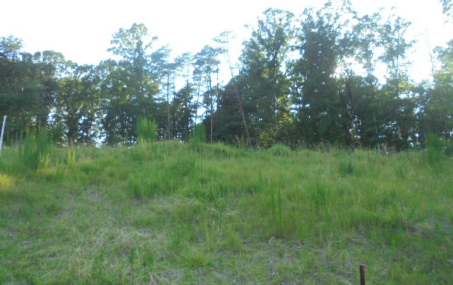 Image for SOLD-0.69 AC Lot in Jessup Ridge Subdivision (Lot #86)