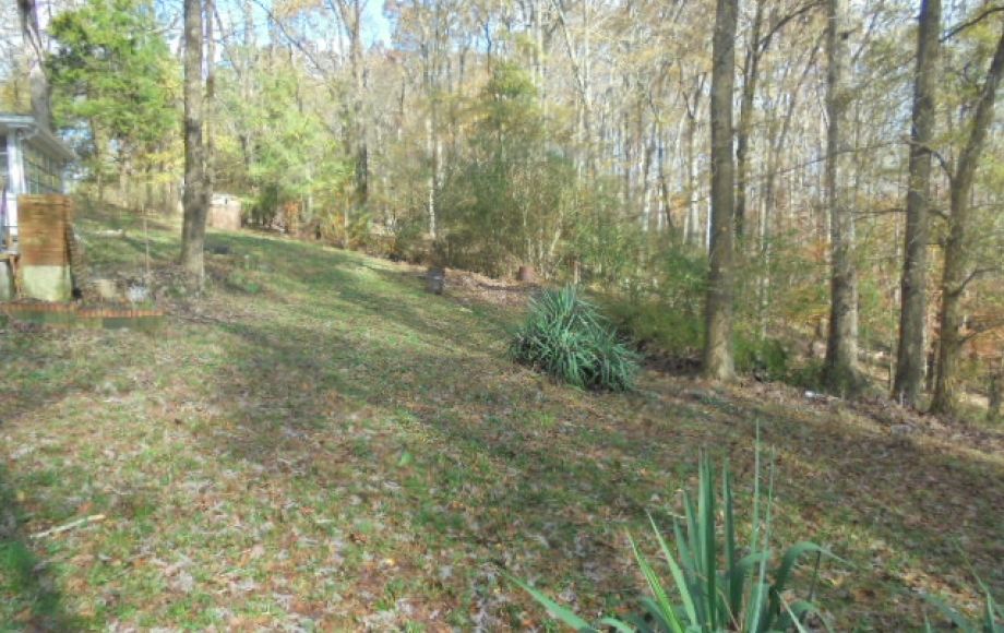Image for UNDER CONTRACT~LOG CABIN on 1.53 ACRES