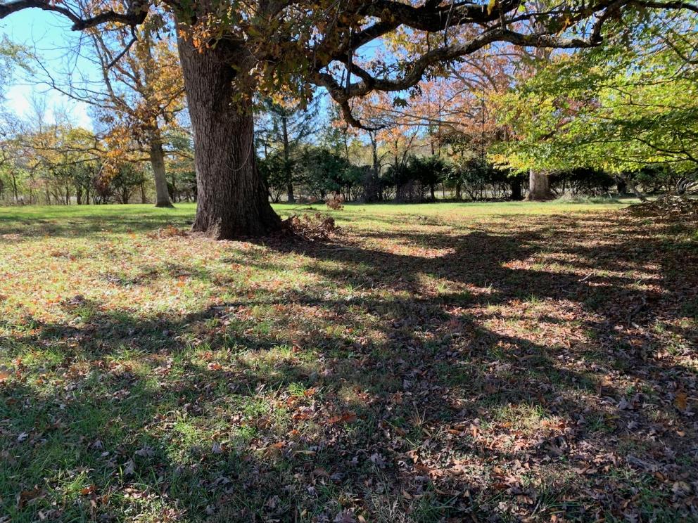 664 Wrights Mill Road, Berryville, VA Clarke County 22611