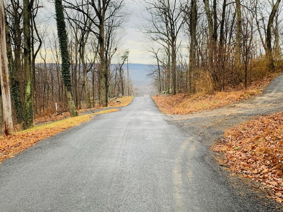 Southeast view down hickory trail