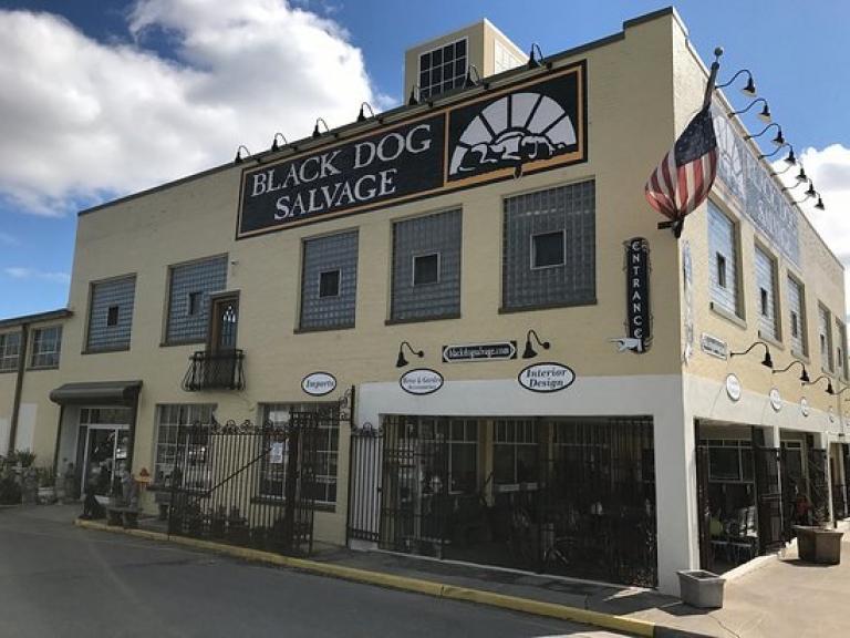 Black-dog-salvage