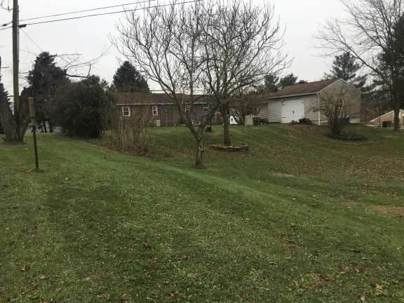 Img 0918