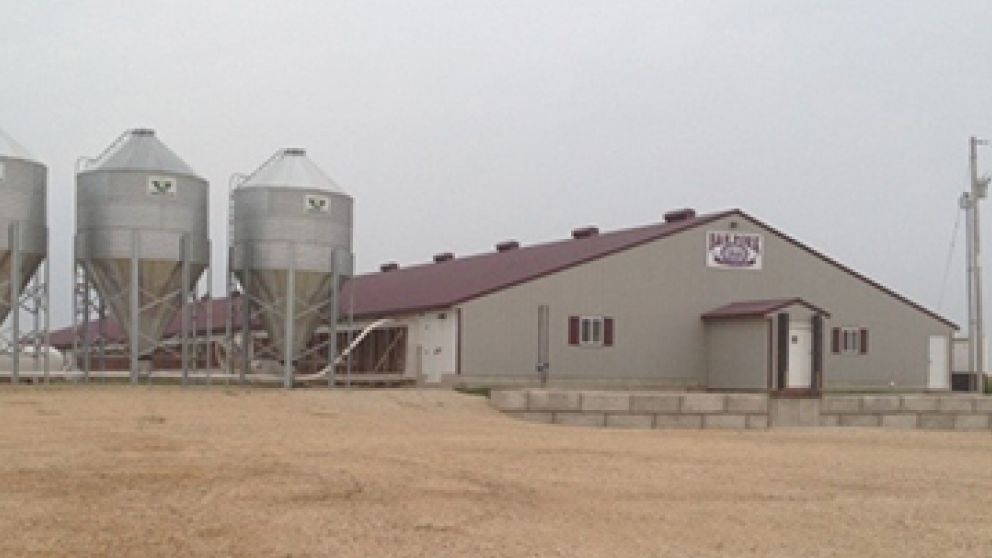 Hog building 1 blog 8179adbbc9c3c