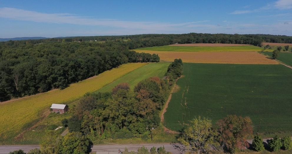 80.2 Acres Preserved Farmland for Auction in Alexandria Township NJ