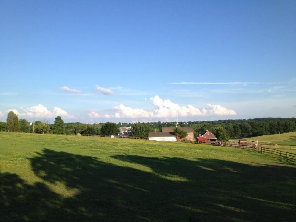 Branch Valley Farm 33+/ Acre Preserved Farm