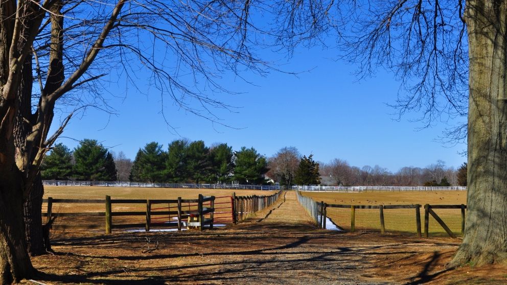 Colts Neck Farm Next To Jon Stewart's Up For Auction
